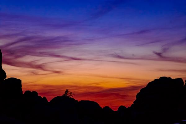 When Solitude Becomes Clarity